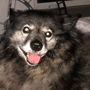 Meet your Posher, Jillian